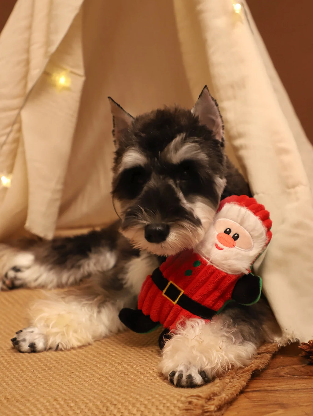Juguete Navideño de Peluche con Sonido para Perros Pequeños | Suave, Resistente y Masticable