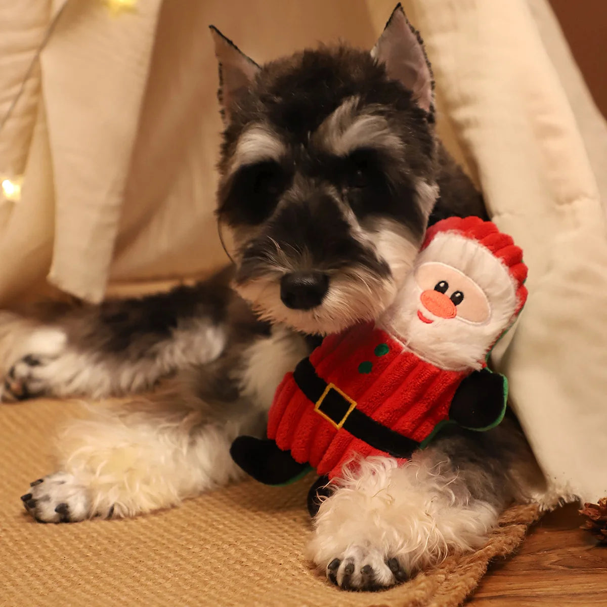 Juguete Navideño de Peluche con Sonido para Perros Pequeños | Suave, Resistente y Masticable