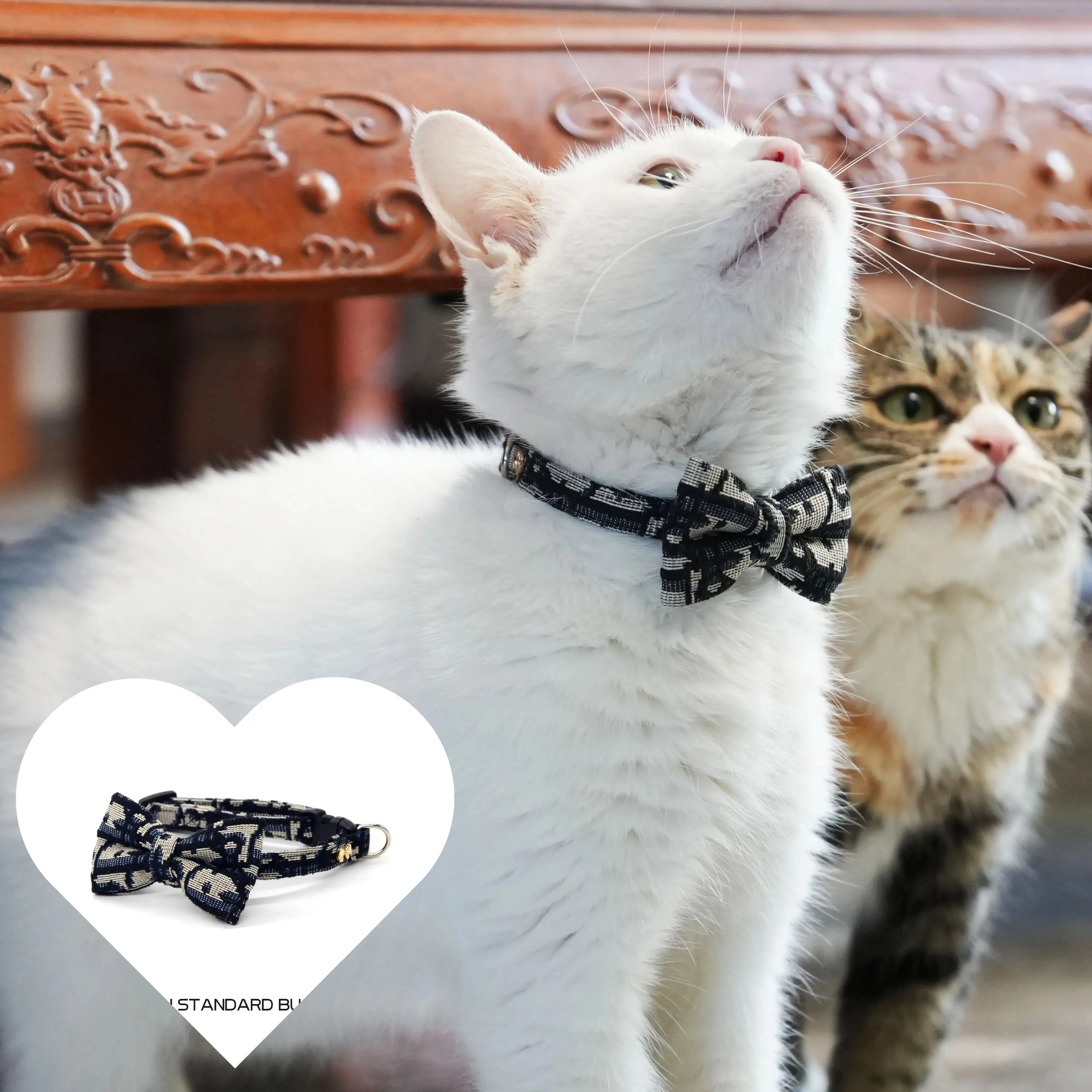 Collar Elegante para Mascotas con Moño – Ajustable y Desmontable para Perros y Gatos