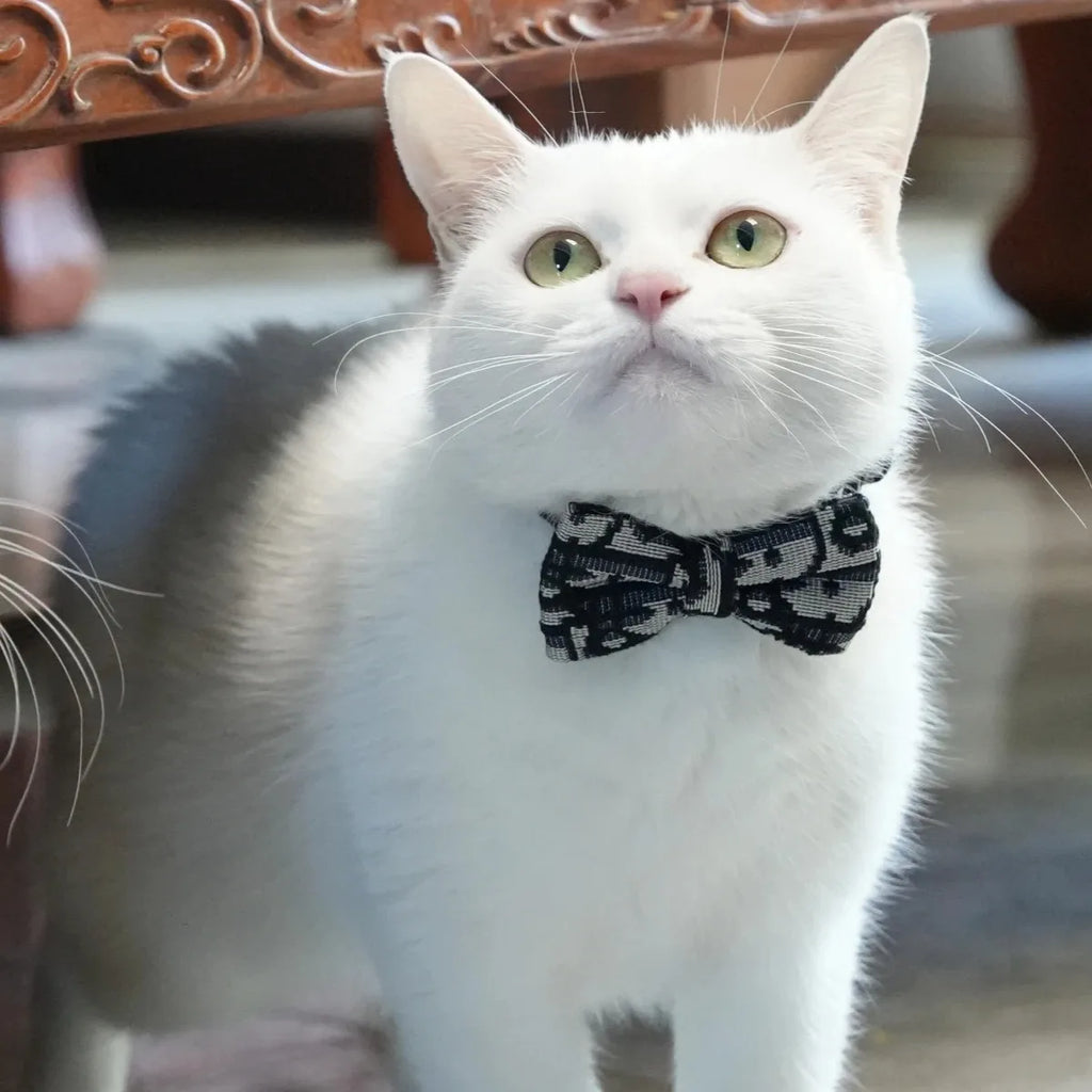 Collar Elegante para Mascotas con Moño – Ajustable y Desmontable para Perros y Gatos